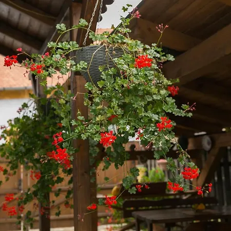 Casa Richter- Check-in Independent 3*